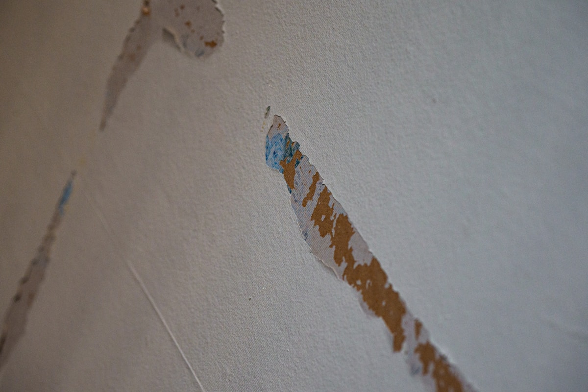 Basement Water Removal service in Ellicott City, MD
